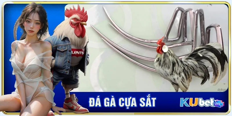 đá gà cựa sắt kubet - ảnh đại diện