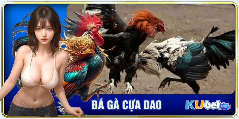 đá gà cựa dao kubet - ảnh đại diện